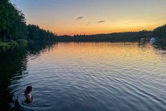 HP_Galerie_SeeAbends